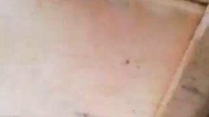 прицеп до мотоблока зубр8 у розробці