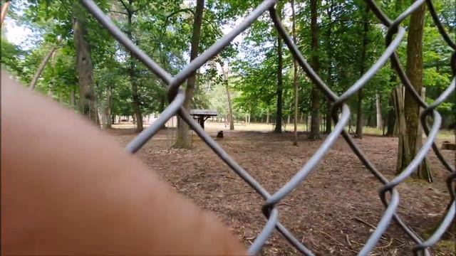 Прогулка по парку Карлштерн. Мангейм. Германия. Мастер Учитель Рэйки, Вадим Васильев смотреть онлайн