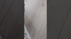 Сетевой фильтр Power Cube 5+1 Sockets 1.9m White SPG(5+1)-16B-1.9M - отзывы в Плеер.Ру