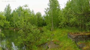 Digma DiCam 870 4К 60 день