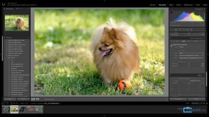 Как работать в Lightroom? Основы и примеры обработки фотографий