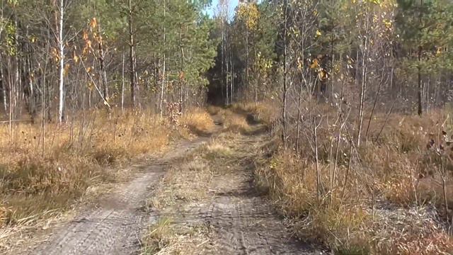 ⛺ Каменное Село #4. Каменные лабиринты