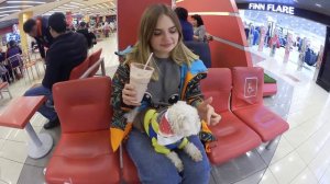 РЕАЛЬНОЕ УТРО ГЛАЗАМИ ЩЕНКА | КОТ БУДИТ ЛЕРУ