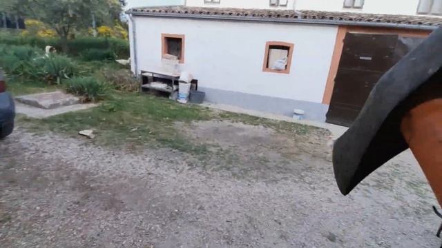 DBD LEAKED UNREAL ENGINE 5 VERSION смотреть онлайн