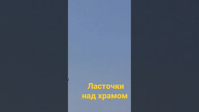 Ласточки над храмом.