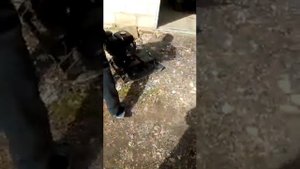 вибро плита 5.5лс