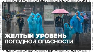 Желтый уровень погодной опасности в столице введен до утра 12 июня - Москва 24