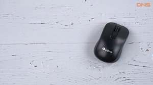 Распаковка Intro MW175 / Unboxing Intro MW175