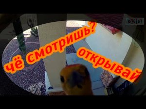 7 минут приколов.mp4