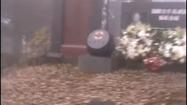 встреча с М.Оямой.wmv смотреть онлайн