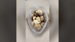 Маринуем шампиньоны в мешочке и готовим их на углях