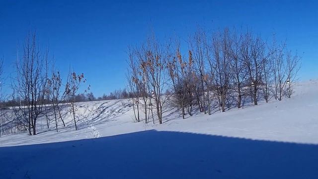 10 февраля -Ефремов день Приметы Обычаи/День Домового