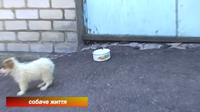 Новости Первомайска 01.08