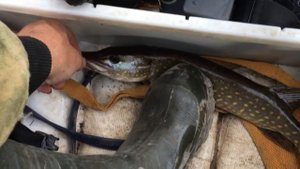 Закат на озере.   Рыбалка на таёжных реках