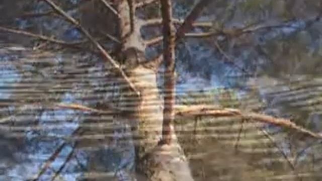 Tours-TV.com: Kotlin Island смотреть онлайн