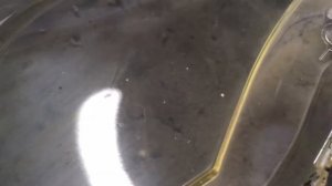 Honda CBR 600 - ремонт фар, тюнинг фар, диодные линзы bi-led