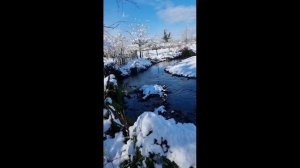 Дом с участком у реки в пригороде Озургети Грузия