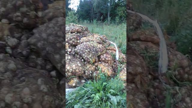 как это можно назвать, такое безобразие смотреть онлайн