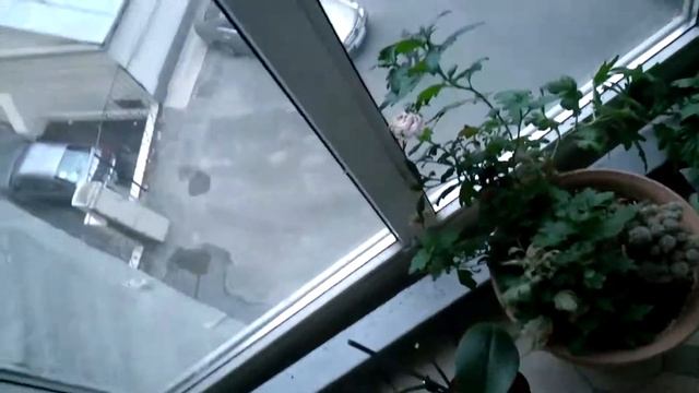 Мы рождены, чтоб сказку сделать былью! смотреть онлайн