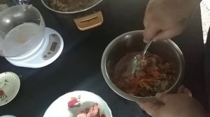 Кормим  натуралкой американского питбультерьера ZARRA