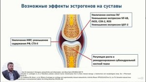 Хрящевая ткань. Суставной хрящ