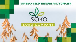 SOKO COMPANY  — Soybean seed breeder and supplier