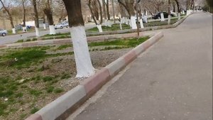 ТАШКЕНТ, ТТЗ - МАССИВ АХМАД ЮГНАКИЙ, ТЕПЛЫЙ ВЕСЕННИЙ ДЕНЬ, ПЕНИЕ ПТИЦ И РОДНЫЕ МЕСТА