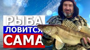 Рыба ЛОВИТСЯ всегда на Рыбинском водохранилище. Рыбалка на Рыбинском море 2023 с ПАНОПТИКС / Panopti