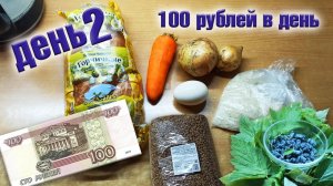 Выживаю неделю на 100 рублей в день. День 2.