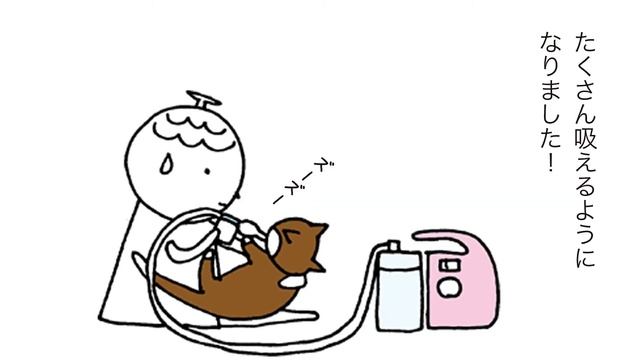 猫の鼻炎治療の12年の歩み　チョコがこれまでチャレンジしたいろいろな方法を全て公開！ смотреть онлайн