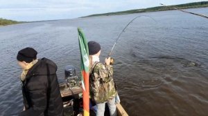 В гостях на реке Таз,летняя рыбалка 2022 , спиннинг 2022