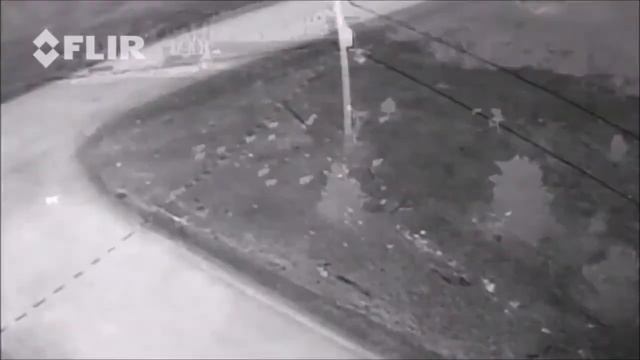 Flir Vue