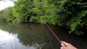 Ловля голавля весной на кузнеца и тутовник.