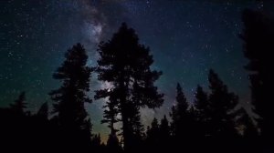 Кондуктор нажми на тормоза