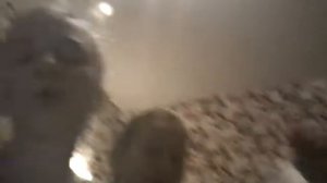 Во что можно играть с подругой!