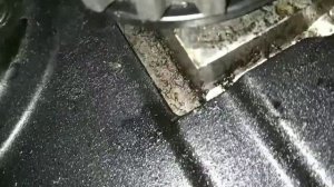 Течь сальника распредвала