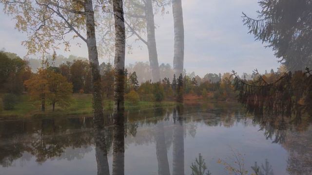 Сиверский, начало октября...
