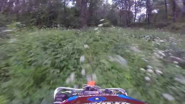 почему никто не катает,?(овраг зарос совсем) смотреть онлайн