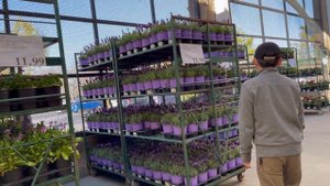 №195 | Покупаем продукты в Костко  | ПРОДУКТЫ в #США | Магазин #COSTCO #Шоппинг В Америке.