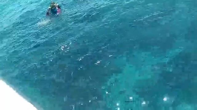 Прозрачная вода в тайланде смотреть онлайн