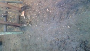 самодельная буровая установка на трактор т 16 !!!