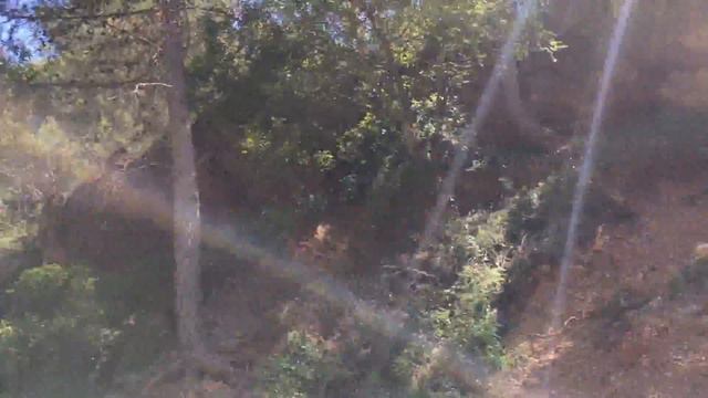 Будем набирать родниковую воду... Серра (Испания). 02.06.2017, 16:45 смотреть онлайн