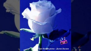 🎵Про белые розы🎶Дима Билан