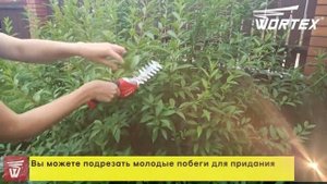 Аккумуляторные Li Ion ножницы WORTEX SG 7215 с насадкой кусторез