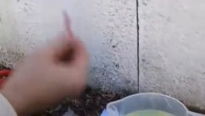 Качество бензина на АЗС Роснефть  Липецкая область, с  Красное