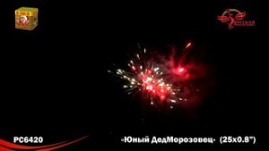 РС6420 Юный ДедМорозовец (0,8" х 25)