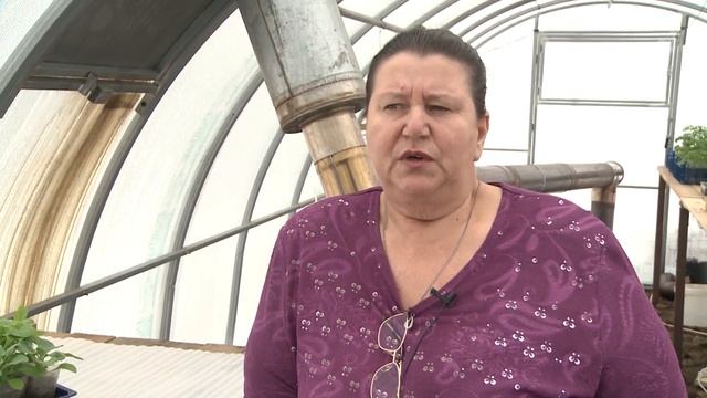 Природное земледелие