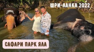 Шри ланка 2022! Сафари на джипах! Национальный парк Яла!.mkv