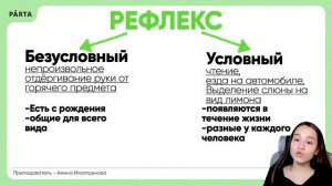 Всё, что нужно знать О РЕФЛЕКСАХ | PARTA 2024