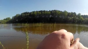 р.Иня - спортивная ловля уклейки)
